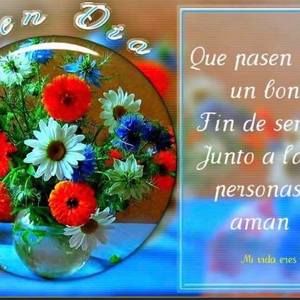 Meet your Posher, Martha